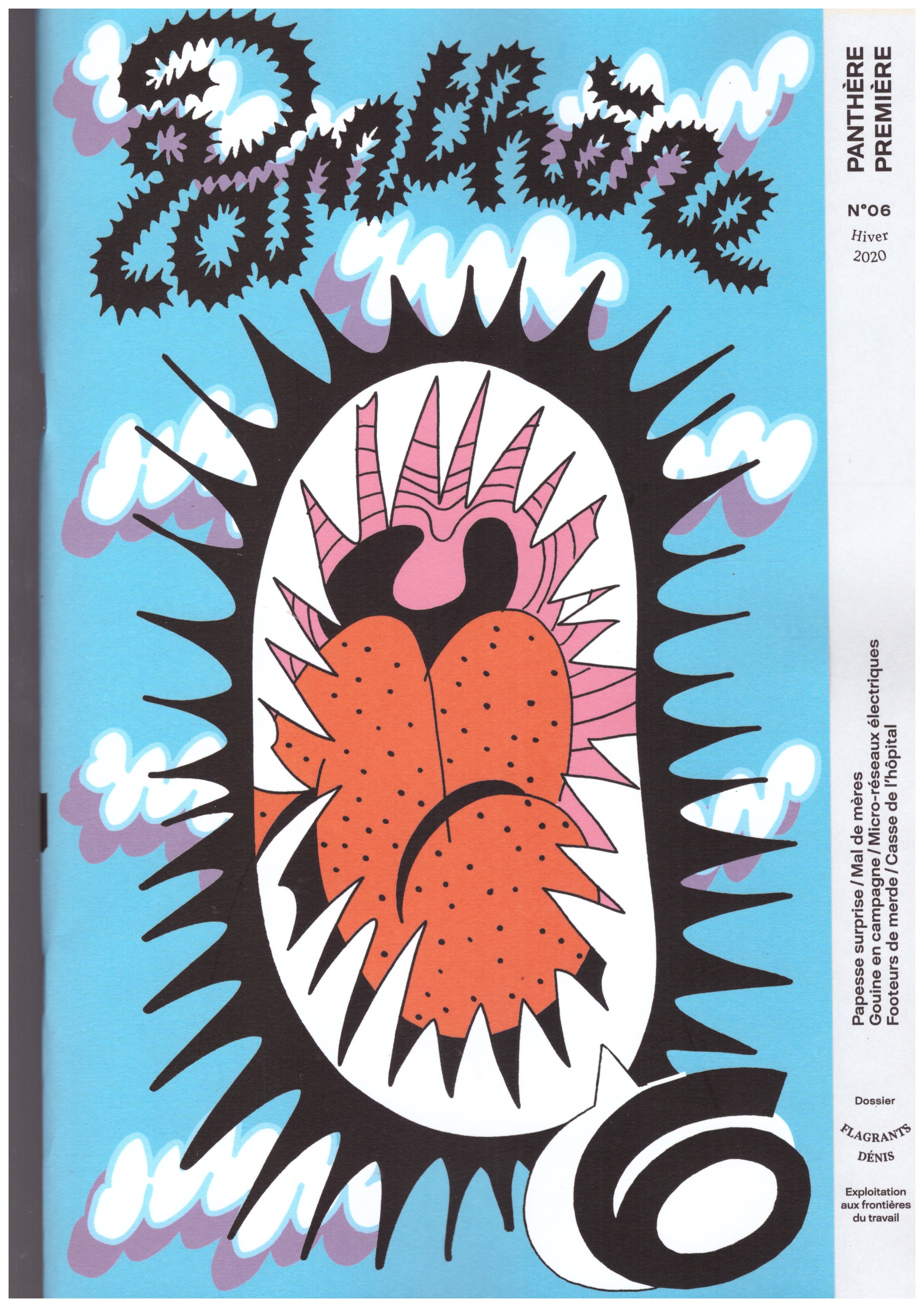 BURTIN ZORTEA, Julia; FERCHAUD, Charlotte (eds.) - Panthère Première #6